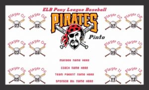 TeamsBanner Rapid Pirates Baseball Team Banner Example