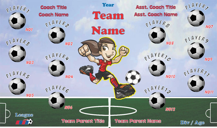 Any Team Name (Generic) Soccer Team Banner Design Your Own 08