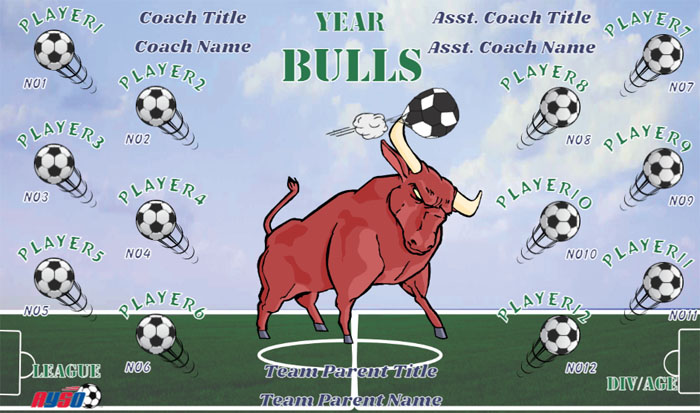 Bulls Soccer Team Banner Design Your Own