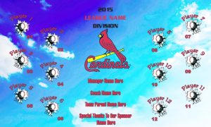 Cardinals Rapid Team Baseball Banner St. Louis Cardinals baseball banner