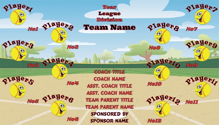 Any Team Design Your Own Team Softball Banner , USA Softball Banners Fastpitch