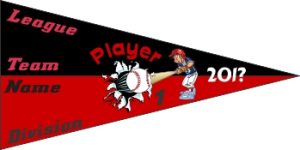 TeamsBanner Rapid Any Team Baseball Pennant Example