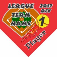 TeamsBanner Rapid Any Team Softball Team Banner Example