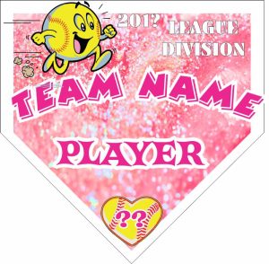 TeamsBanner Rapid Any Team Softball Team Banner Example
