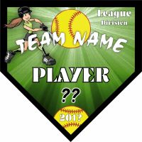 TeamsBanner Rapid Any Team Softball Team Banner Example