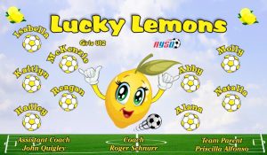Lemons Soccer Team Banner - AYSO Lemons Banner - TeamsBanner