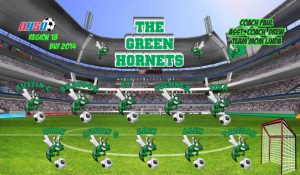 Hornets Soccer Team Banner - AYSO Hornets Banner - TeamsBanner