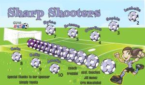 Any Team Soccer Team Banner - AYSO Miscellaneous Banner - TeamsBanner