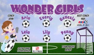 Girls Soccer Team Banner - AYSO Girls Banner - TeamsBanner
