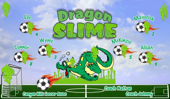 Dragons Soccer Team Banner - AYSO Dragons Banner - TeamsBanner