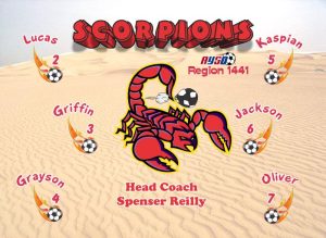 Scorpions Custom Designed Team Soccer Banner 01 - Scorpions Soccer Banner