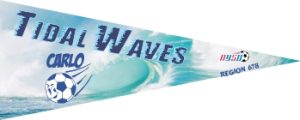 Custom Soccer Pennants Examples - AYSO Soccer Pennants - TeamsBanner