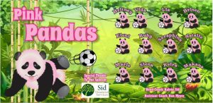 Pandas Custom Soccer Banner Examples - AYSO Pandas Banner - TeamsBanner