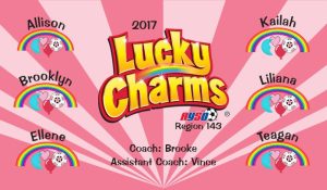 Lucky Soccer Team Banner - AYSO Lucky Banner - TeamsBanner