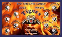 Detroit Tigers Baseball Banner Custom Designed Team Baseball Banner , MLB Banners, Detroit Tigers Baseball Banner Custom Designed Team Baseball Banners