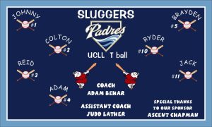 Padres Baseball Banner Custom Designed Team Baseball Banner , MLB Banners, San Diego Padres Baseball Banner Custom Designed Team Baseball Banners