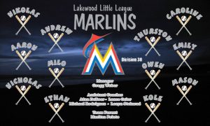 Marlins Baseball Banner Custom Designed Team Baseball Banner , MLB Banners, Miami Marlins Baseball Banner Custom Designed Team Baseball Banners