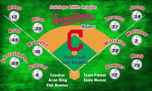 Guardians Baseball Banner Custom Designed Team Baseball Banner , MLB Banners, Cleveland Guardians Baseball Banner Custom Designed Team Baseball Banners
