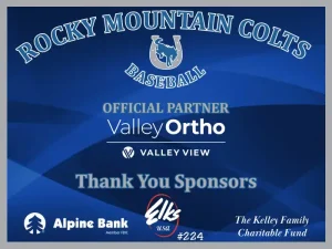 Sponsor Banners x3 - 3 x 4 FOLK Grinzinger